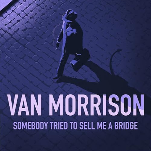 Somebody Tried To Sell Me A Bridge