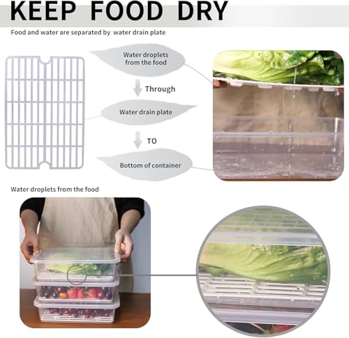 Image of Fridge Storage Boxes Fridge Organizer with Removable Drain Plate and Lid Stackable Fridge Storage Freezer Storage Containers for Fish, Meat, Vegetables, Fruits (2500ML, Pack of 6)