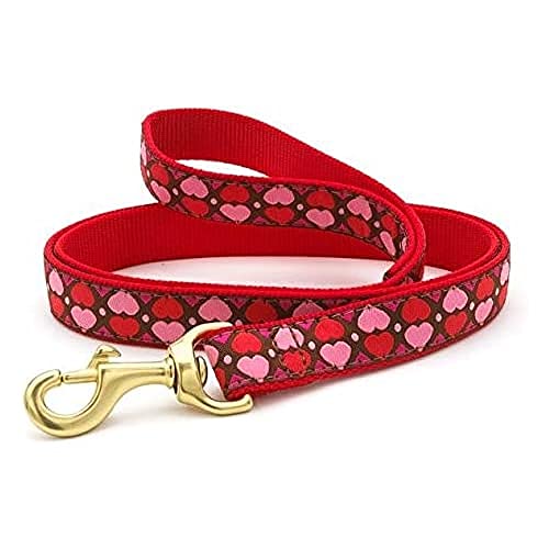 Up Country Valentine and Hearts Pattern Dog Collars and Leashes (All Hearts Dog Leash, 4 Foot Long 5/8 Inch Narrow Width)