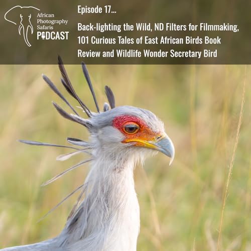 African Photography Safaris Podcast Episode 17 cover art