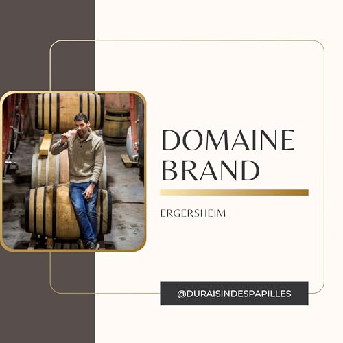 Philippe Brand : Vigneron Rebelle et Po&egrave;te en Alsace