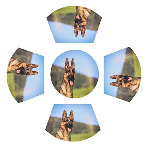 Jogo americano redondo de mesa com 5 jogos americanos de cachorro pastor alemão, lavável e resistente ao calor para mesa de jantar