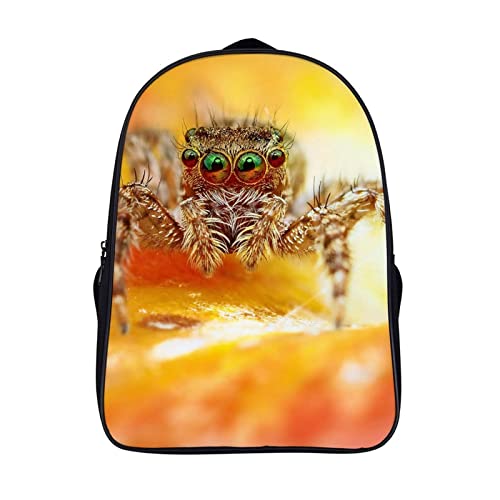 Sac à dos scolaire enfant Spider pour le collège et les sorties