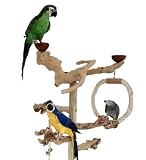 Kletterbaum für Vögel Papageien Freisitz Java Tree Wurzelholz Freiflug Landeplatz Papageienspielzeug 1,65