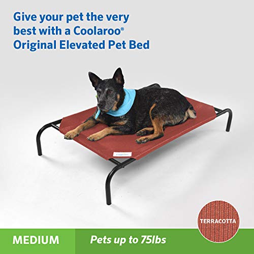 Image of Coolaroo Original Elevated Dog Bed - Breathable Off-The-Ground Pet Bed with Cooling Fabric, Joint Relief & Moisture-Resistant Fabric, 100% Recyclable, Easy Clean, Terracotta, Medium