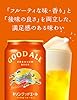 GOOD ALE(グッドエール) キリン プレミアム ビール350ml×24本[6缶×4] リッチ&フルーティ #2