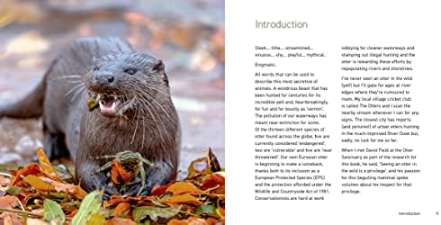 The Otter Book: 12