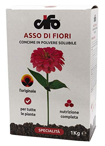 CIFO ASSO DI FIORI GR.1000