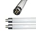 Lot de 2 tubes fluorescents T5 13 W 525 mm Blanc froid 4000 K 13 W