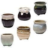 Petits pots pour plantes – un design simple mais très pratique, pour une utilisation agréable et une décoration intérieure égayée