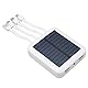 20000mAh Solar Phone Power Bank, Tragbare wasserdichte Solar Power Bank mit Ladekabel für den Außenbereich, 2X USB und USB C, Micro USB Port (Weiss)