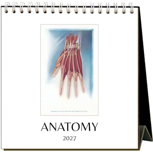 Anatomy 2027 Desk Calendar