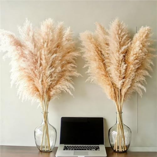 Ramo de pasto pampas natural de 20 tallos 39.37 pulg miniatura 5
