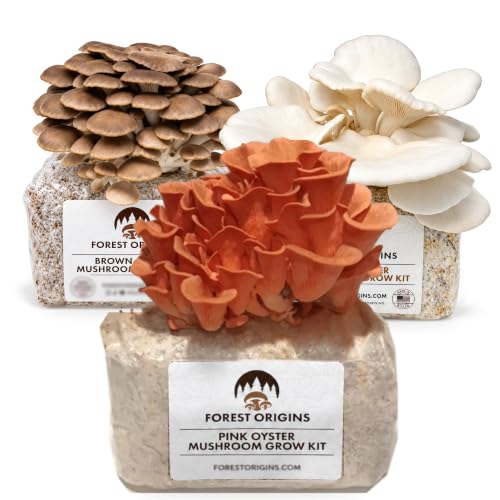 Forest Origins Specialty Trio Oyster Mushroom Kits, Pink Brown White 3-Pack