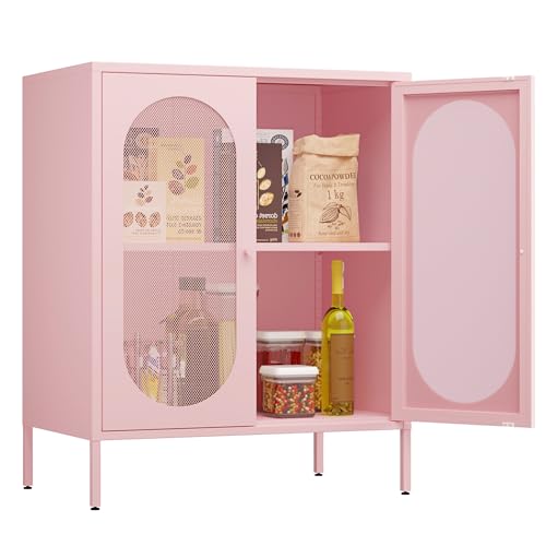 Fumedo 2 Door Accent Cabinet,Metal Storage Cabinet with Adjustable Shelf,Buffet