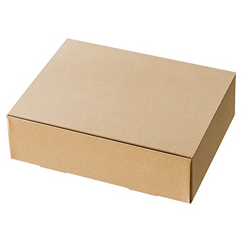 ヘッズ 日本製 箱 クラフト スマートボックス 無地 317×92×245mm 10枚 HEADS MSM-GB3