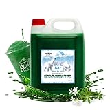 ICE Bär SLUSH Granizado 12 variedades afrutadas, 5 litros de concentrado, Sabor a madera, granizador de hielo para máquina de hielo de bricolaje 5L (Paquete de 1)