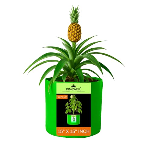 Image of Kingwell grow bags 15x15 inch pack of 1 Grow Bag For Terrace Garden Leafy Vegetable Plant Grow Bags Fruits Growing Containers For terrace Gardening
