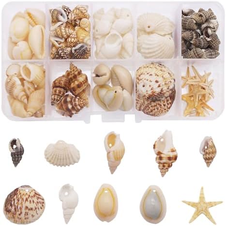 GraceAngie 1 Box 120pcs Small Tiny Sea Shells Mixed 10 Styles Beach Natural Seashell Charm Beads with Hole for DIY Jewelry Making, Home Decorations Beach Theme Party Fish Tank and Vase Fillers