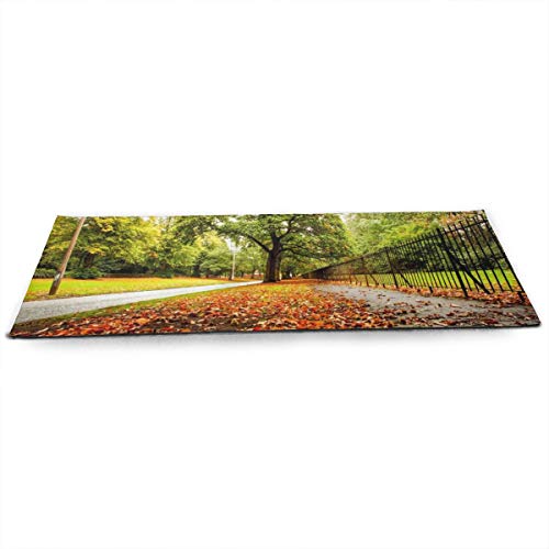 Sticky Yoga Mat - 180cm x 61cm x 4.5mm，Colorful Autumn Nature Leaves Forest Park Trees Path Road Fence