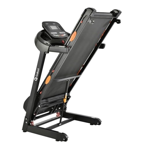 Esteira Ergométrica Elétrica Gallant Elite Pro 3.0hp 16km/H 120kg 220v (Gee12e30a-220pt)