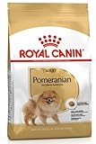 Royal Canin Pomeranian Adult Aliment complet pour chiens 1,5 kg Nourriture sèche pour chiens adultes et âgés à partir du 8 mois Teneur en minéraux adaptée