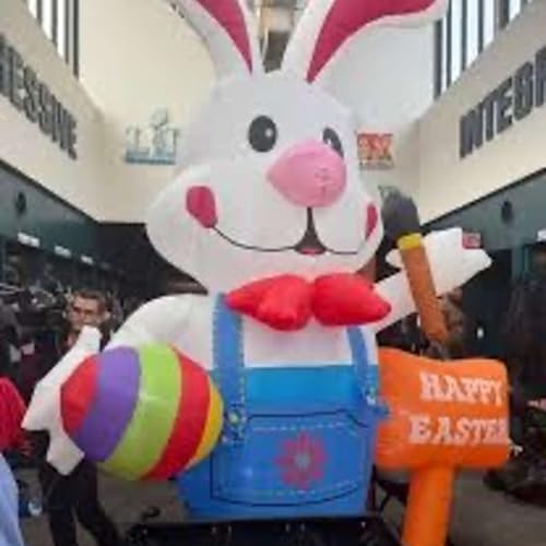 we missed pure shananagans