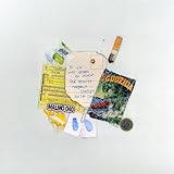 immagine banner Amazon