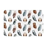 Vosery Fußmatte für den Eingangsbereich, Wohnzimmer, Motiv: hässliche Eule, Dorky, für Schlafzimmer, Wohnzimmer, 40,6 x 61 cm