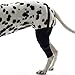 PLAFUETO Dog Knee Support Sleeve Dog Leg Brace Rear Dog Hock Support Heals Hock Joint Wrap Sleeve for Hind Leg - Pet Brace Heals and Prevent Injuries, Wound Healing, Loss of Stability from Arthritis