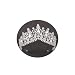 Tgirls Bridal Wedding Crowns and Tiaras Bride Princess Rhinestone Headband Jewelry for Women and Girls (Silver)