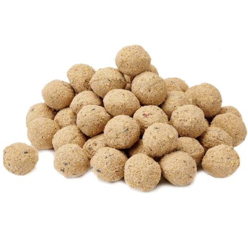 Suet Fat Balls for Wild Birds, Pack of 50