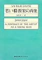 若い藝術家の肖像 (集英社文庫 ヘリテージシリーズ J 1-5)