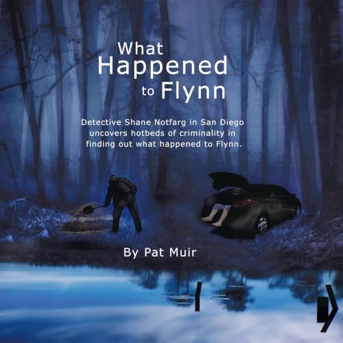 What Happened to Flynn Titelbild
