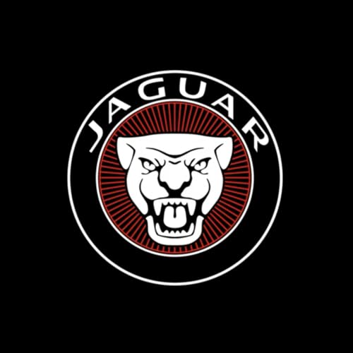 2�Z�b�g�ԗp�J�[�e�V�����v�ɓK�� �W���K�[ XFL 2020 �h�A�E�F���J�����C�g�ԗp�h�A�����v�J�[�e�V���C�gLED���S���e,E [���s�A���i]