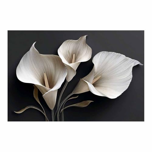 HUYEEI Abstrait Noir et Blanc Minimaliste Imprimés Arums tableaux, posters et arts décoratifs,...
