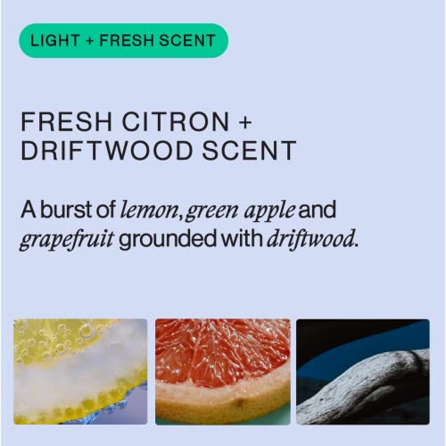 Offcourt Designer Cologne For Men & Women – Luxury Perfume With Fresh Citron & Driftwood Scent – Fresh, Light, Citrusy Scent With Clean Ingredients – Vegan, Cruelty-Free, Tsa-Friendly – Made In The Usa, 1.7 Oz (50Ml) #TOP2