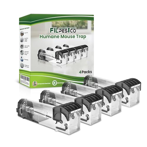 Filpestco lI Lb`Ah[X ėp\ gl[e }EXƃbggbv 4Zbg O̊Q쏜\[Vp