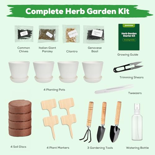 PLANTMEW Indoor Herb Garden Starter Kit - Mothers Day Gifts - 4 Non GMO, Heirloom Culinary Herb Seeds, Unique Gardening Gift for Women, Mom, Her, Birthday, Housewarming, Plant Lovers - Image 2