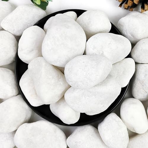 YISZM White Pebbles 5 lb