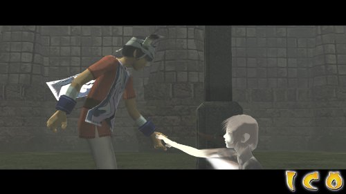 Ico and Shadow of the Colossus Collection PS3 [import US] (Jeu en Francais)