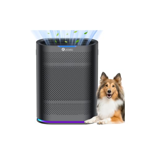 Amazon Deal
