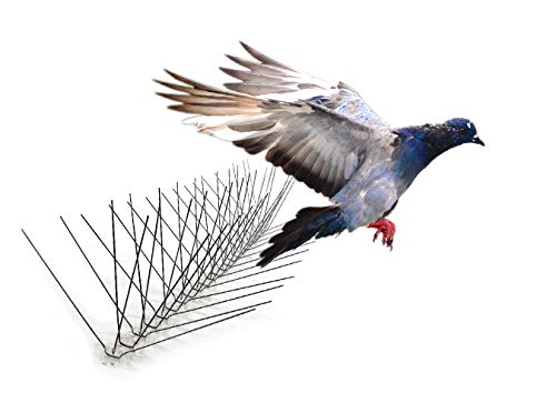 Bird-X Stainless Steel Bird Spikes