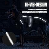 OneTigris Hundemantel, STORMWALL Wasserdicht Hundejacke mit Verstellbarer Rückenlänge Fleecefutter Reflektierend und Fellkragen für Wanderungen Outdoor für Mittelere & Große Hunde Schwarz M