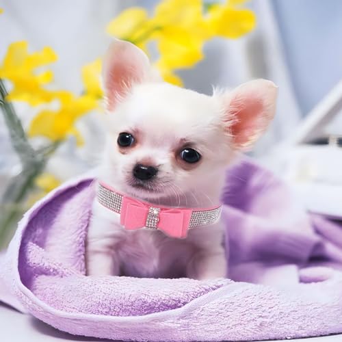 Collier chien rose avec nœud idée cadeau pour chienne de taille moyenne accessoire fête M