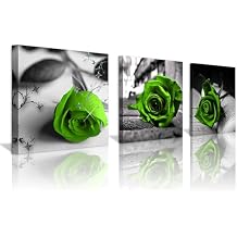 NAN Wind Canvas Print 3 Pcs Black and White Green Rose Canvas Art Abstract Wall Art Decorations Flower Picture on Canvas for Home Decor Valentines Gift Stretched And Framed 14X14inches