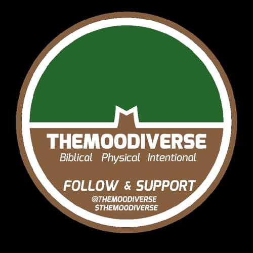 Moodi Tech - Origins