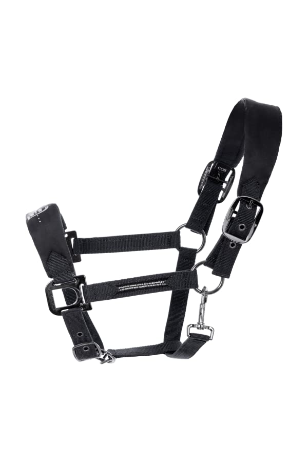 Licol Cavallo Hallona Black Horsefashion 2022 taille WB équipement cheval