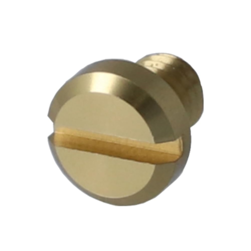 Amazon.co.jp: Avail(アベイル) screw_m3_cgld リテーナー用スクリュー