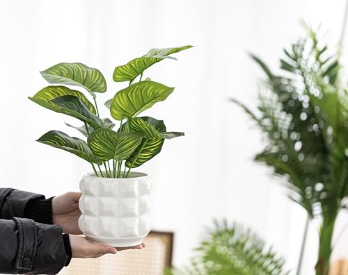 Arktiva Ceramic Planter Pot with Drainage Hole, 4.5 Inch Dia, Indoor and Outdoor, Home Patio Garden, Plants Flower Succulent, 3D Patterned Round (White)